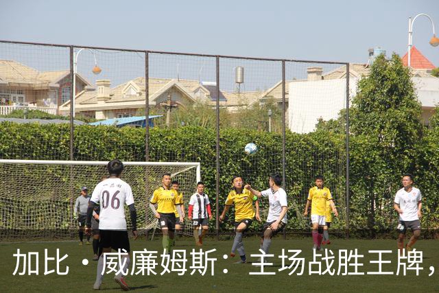 加比·威廉姆斯：主场战胜王牌，球迷如超级英雄相伴